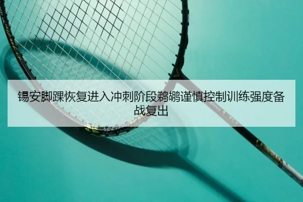 锡安脚踝恢复进入冲刺阶段鹈鹕谨慎控制训练强度备战复出